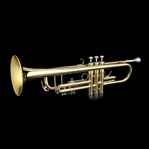 Grassi GRTR210 Trumpet Bb Gold Lacquer