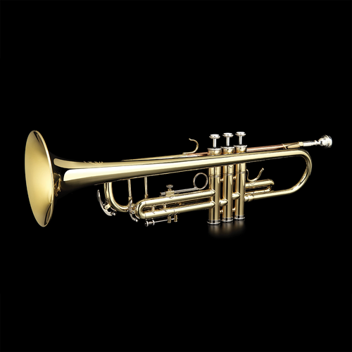 Grassi GRTR210 Bb Trumpet Gold Lacquer with Backpack Case and Accessories