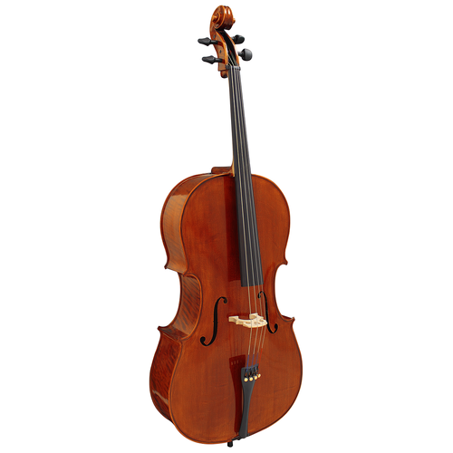 Hidersine Piacenza 4/4 Cello Outfit with Case, Bow, and Rosin - Hand-Carved Solid Spruce Top, Flamed Maple Ribs and Back
