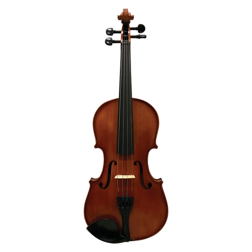 Hidersine HW3180A Studenti Academy Finetune 4/4 Violin Student Outfit with Wittner Pegs and Accessories