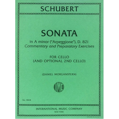Schubert - Sonata in A Minor for Arpeggione & Cello with Practice Tips