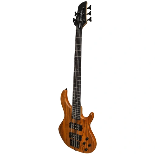 J&D Legacy Series Mahogany & Zebrano T-Style 5 String Electric Bass Guitar with Active Pickups