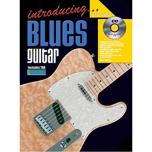 Blues Guitar Book with CD - 27 Lessons on Techniques and Patterns
