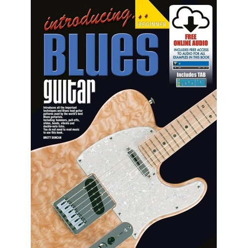 Introducing Blues Guitar BK/OLA - 88 Pages, 27 Lessons, Techniques & Patterns for Guitarists