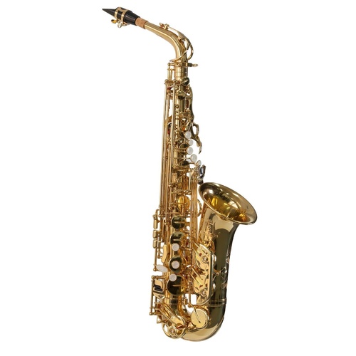 Steinhoff Alto Saxophone (Gold)