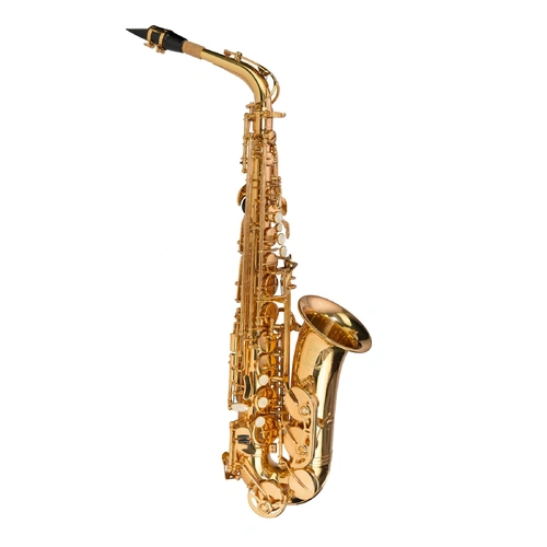 Steinhoff AS10 Advanced Student Alto Saxophone Gold Lacquer with Case and Accessories