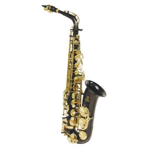 Steinhoff Student Alto Saxophone Black Lacquered with Accessories and Hard Case