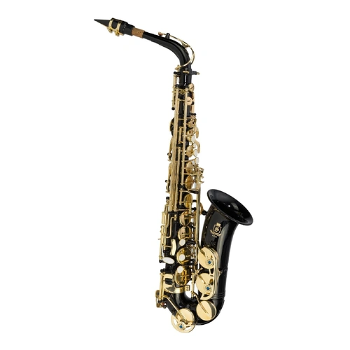 Steinhoff AS20 Intermediate Alto Saxophone Black with Case and Accessories