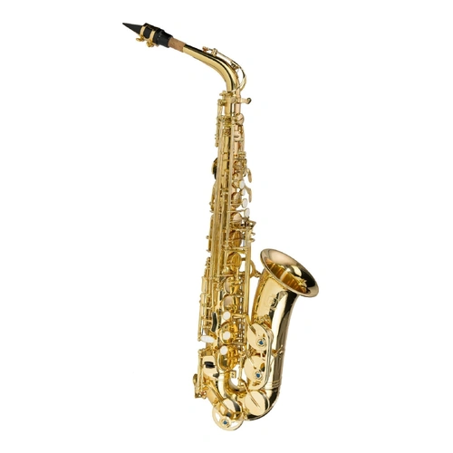 Steinhoff AS20 Intermediate Alto Saxophone Gold Lacquer with Case