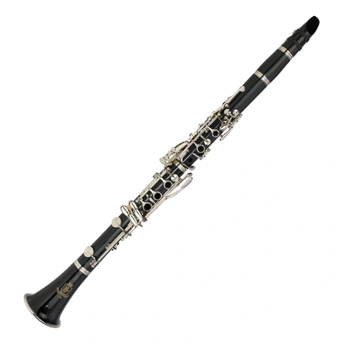 Steinhoff CL20 Advanced Student Bb Clarinet with Case and Accessories