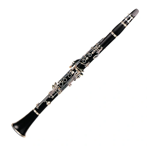 Steinhoff KSO-CL5B-BLK Student Bb Clarinet with Case and Accessories