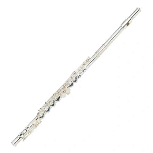 Steinhoff FL20 Advanced Student C Flute with Offset G, Split E Mechanism, C Foot, Polyfoam Case