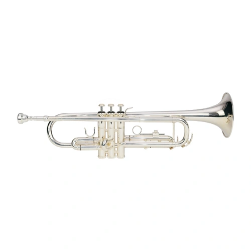 Steinhoff Intermediate Bb Trumpet TR20 with Case and Accessories