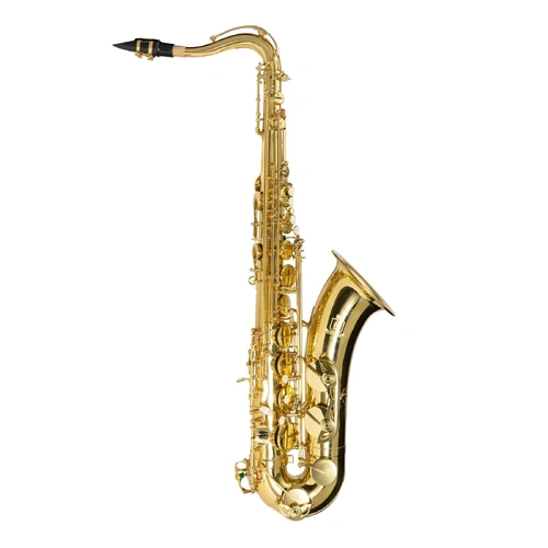Steinhoff TS10 Advanced Student Tenor Saxophone Gold with Case, Mouthpiece, Strap, Reed, Cork Grease