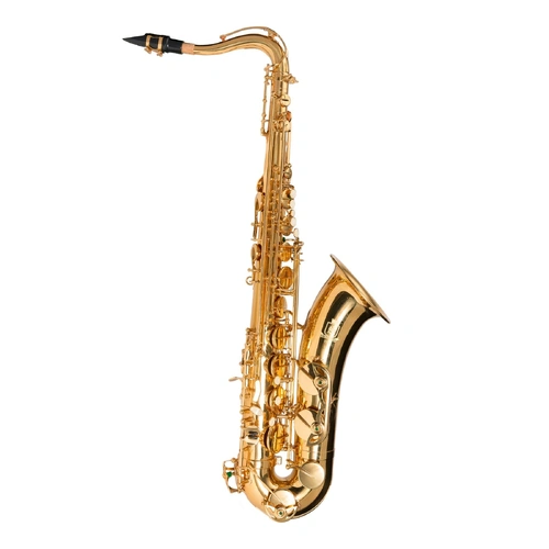 Steinhoff TS20 Intermediate Tenor Saxophone Gold Lacquer with Case and Accessories