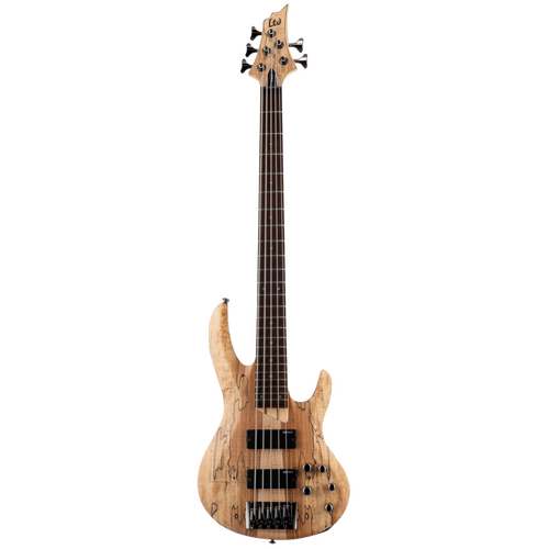 LTD B-205 Spalted Maple 5 String Bass