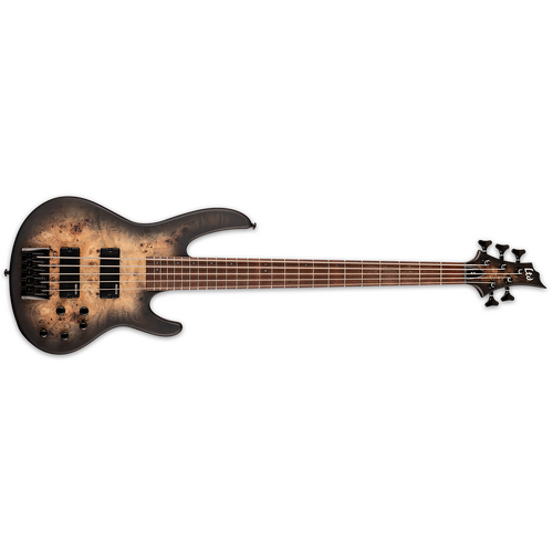 ESP LTD D-5 5 String Electric Bass Guitar Black Natural Burst Satin