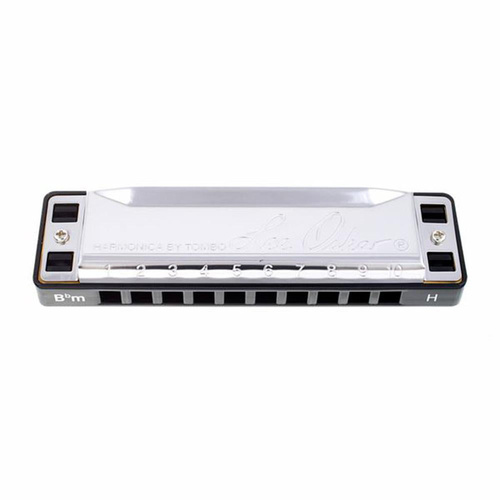 Lee Oskar B Flat Minor Harmonica 10 Hole World Music Tuning