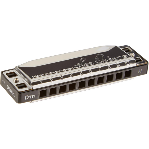 Lee Oskar D Flat Minor Harmonica 10 Hole World Music Tuning