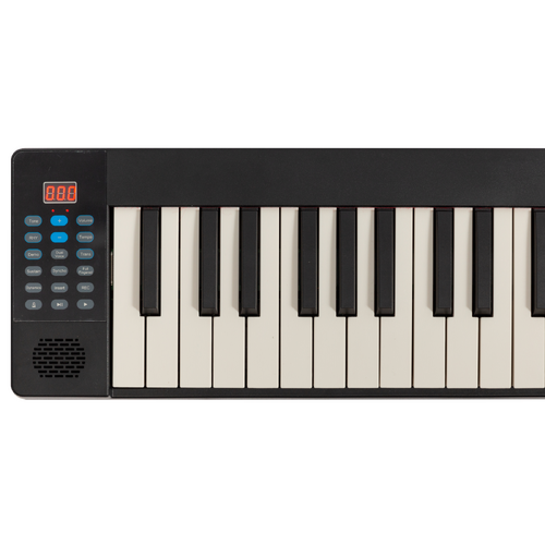 LORDEN LPJ-61C Portable 61-Key Keyboard with 128 Tones, Built-in Speakers, Bluetooth, and Rechargeable Battery