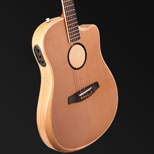 LR Baggs AEG-1 Acoustic Electric Guitar Torrefied Sitka Spruce LRBAEG-1-TOR
