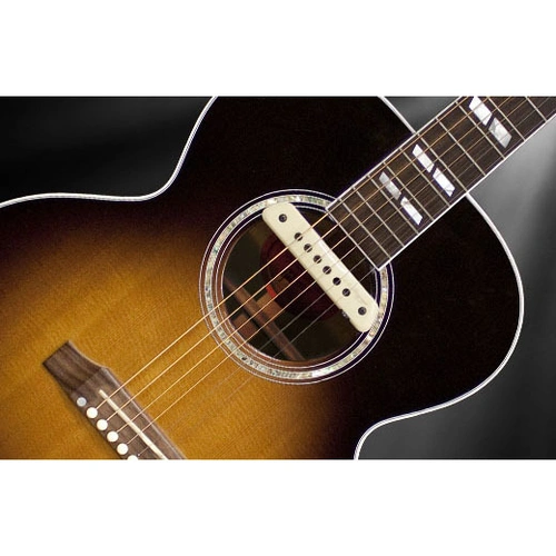 LR Baggs M1A Active Soundhole Magnetic Pickup with Volume Control and Adjustable Pole Pieces
