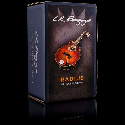 LR Baggs Radius Mandolin Pickup with External Jack and Mounting Putty