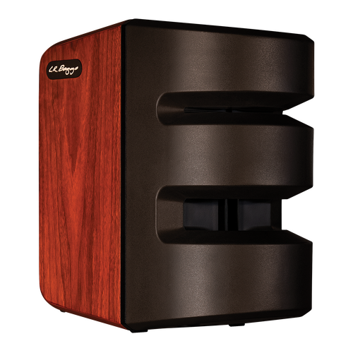 LR Baggs Synapse Personal PA System with All-Horn Design, 500W Class-D Amplifier, Dual Channels, 3-Band EQ, and Custom Reverb