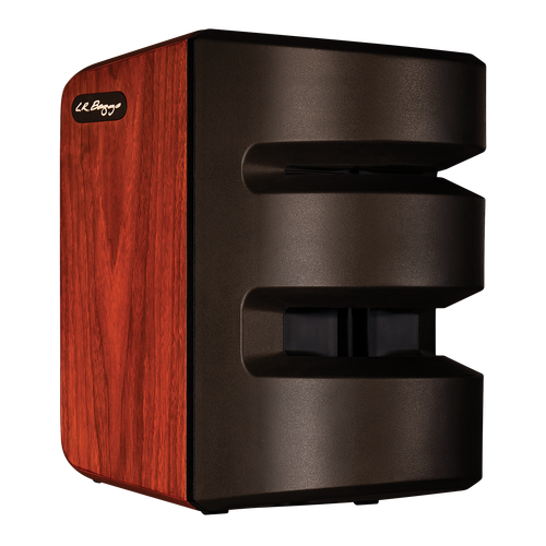 LR Baggs Synapse Personal PA System with 500 Watt Class-D Amplifier and Dual Channel Preamplifiers