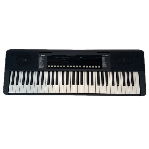 Lorden LRK-197 61-Key Electronic Portable Keyboard with USB and Bluetooth Integration