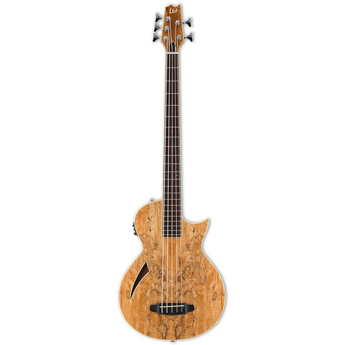 LTD LTL-5SMNAT Thinline Series Acoustic Electric Bass Guitar 5-String Natural Spalted Maple 