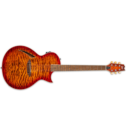 ESP LTD TL-6 Thinline Acoustic Electric Guitar Tiger Eye Burst - LTL-6QMTEB