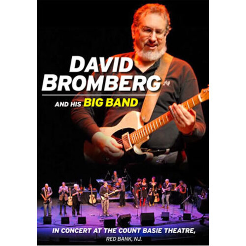 David Bromberg And His Big Band In Concert At The