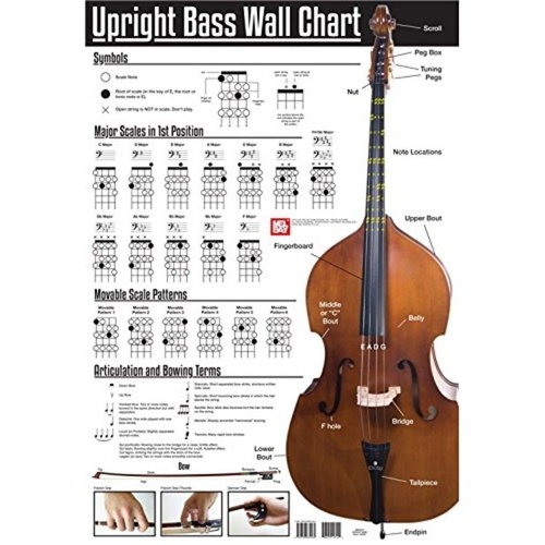 Upright Bass Wall Chart - Scale Patterns, Note Finder, Articulation Terms, Coated Paper