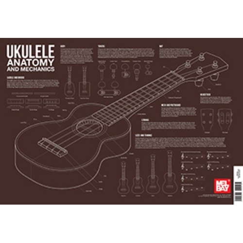 Ukulele Anatomy and Mechanics Wall Chart by Mel Bay Publications