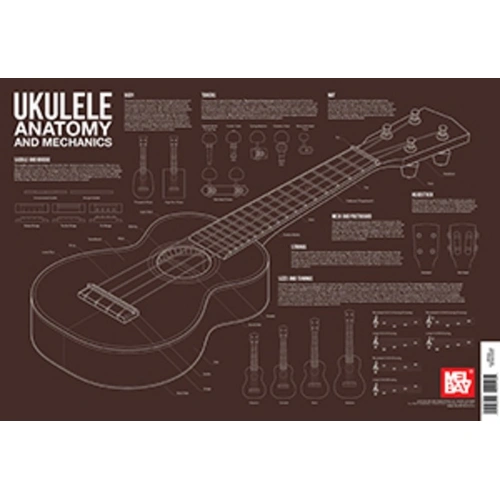 Ukulele Anatomy and Mechanics Wall Chart by Mel Bay Publications