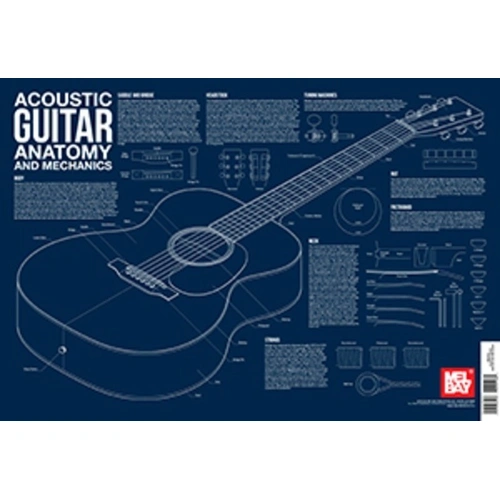Acoustic Guitar Anatomy Wall Chart by Mel Bay Publications