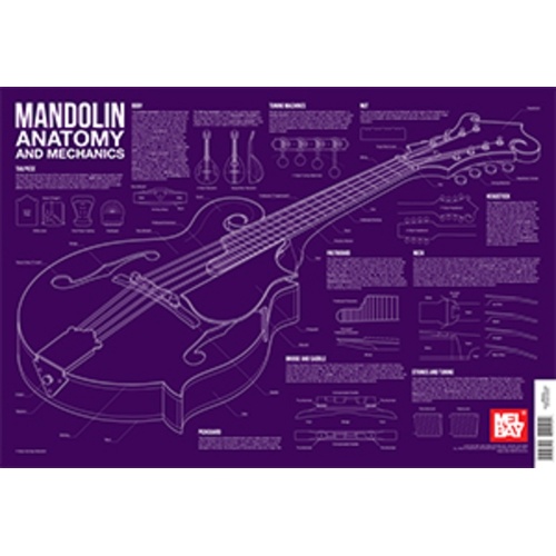 Mandolin Anatomy Wall Chart Book