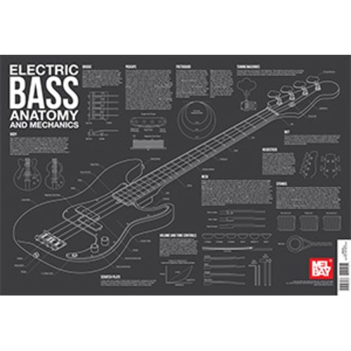 Electric Bass Anatomy Wall Chart Book