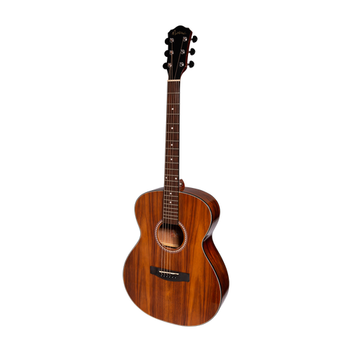 Martinez MF-25RG-NST Acoustic Gloss Small Body Guitar Rosewood Natural
