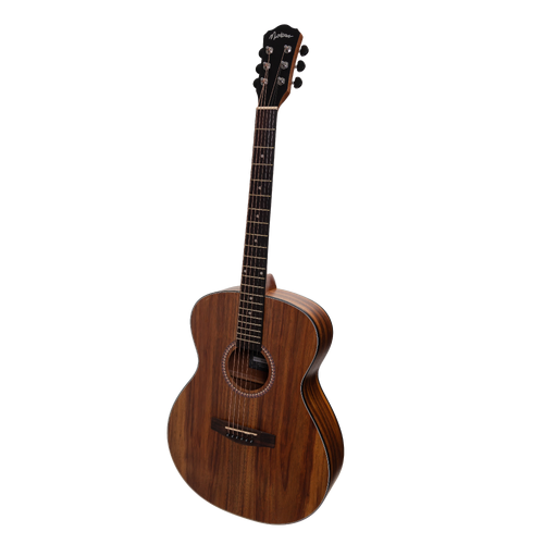 Martinez MF-25RPG-NST Acoustic-Electric Small Body Guitar Gloss Rosewood Natural
