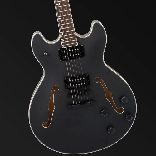 Northstar Pro NSP5-BK Hollow Body Electric Guitar Open Pore Black Satin