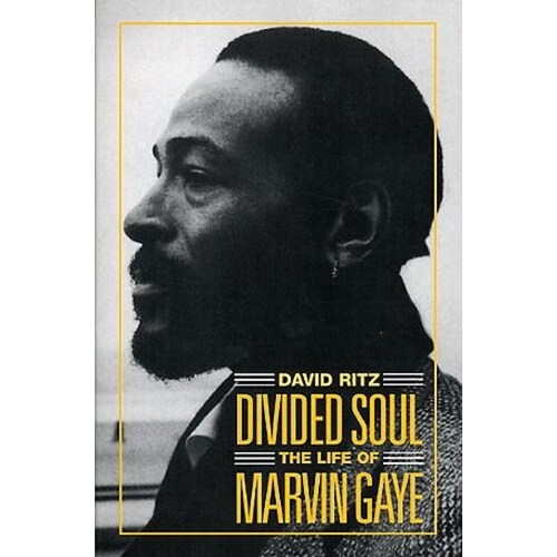 Divided Soul - The Life Of Marvin Gaye