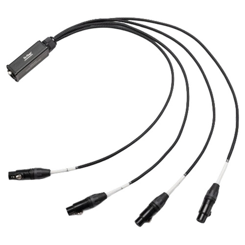 On Stage 4-Channel Signal Snake Cable (4 XLR Female to RJ45) - 29.56" Length, Supports Analog & Digital Signals, Compact & Durable
