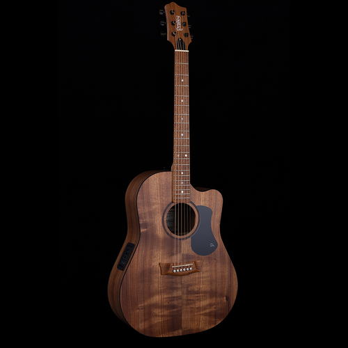 Pratley Classic Series Dreadnought Cutaway Acoustic Guitar - All Solid Blackwood, Queensland Maple Neck, L.R. Baggs Pickup, Premium Case Included