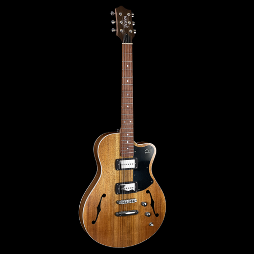 Pratley Electric Semi-Hollow Blackwood Single Cut SD with Seymour Duncan Phat Cat P90 Set [PRSH90-NBW]