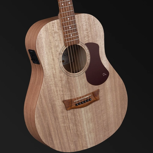 Pratley SL Stage Solid Top Queensland Blue Fig Acoustic Guitar with Layered Maple Back, Fishman Pickup & Premium Case [PRSLS-E-MF]