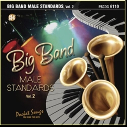Sing The Hits Big Band Male Standards Vol 2 CDG*