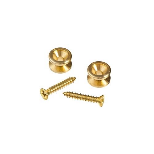 Planet Waves Solid Brass End Pins - Brass (Pair)