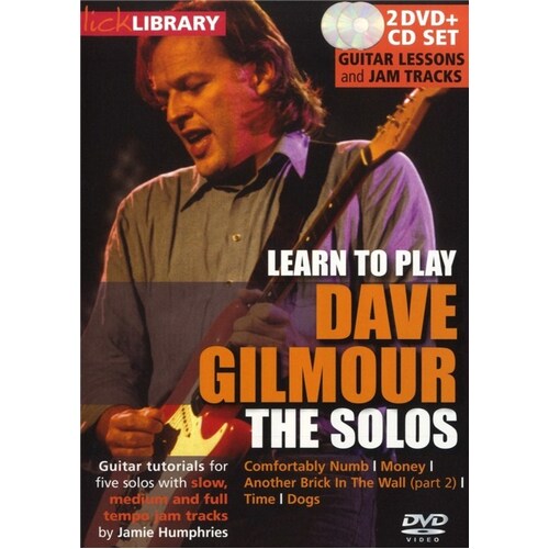 Learn To Play Dave Gilmour DVD